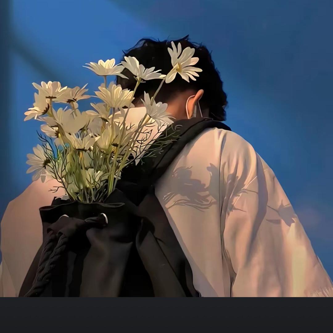 港城之翼