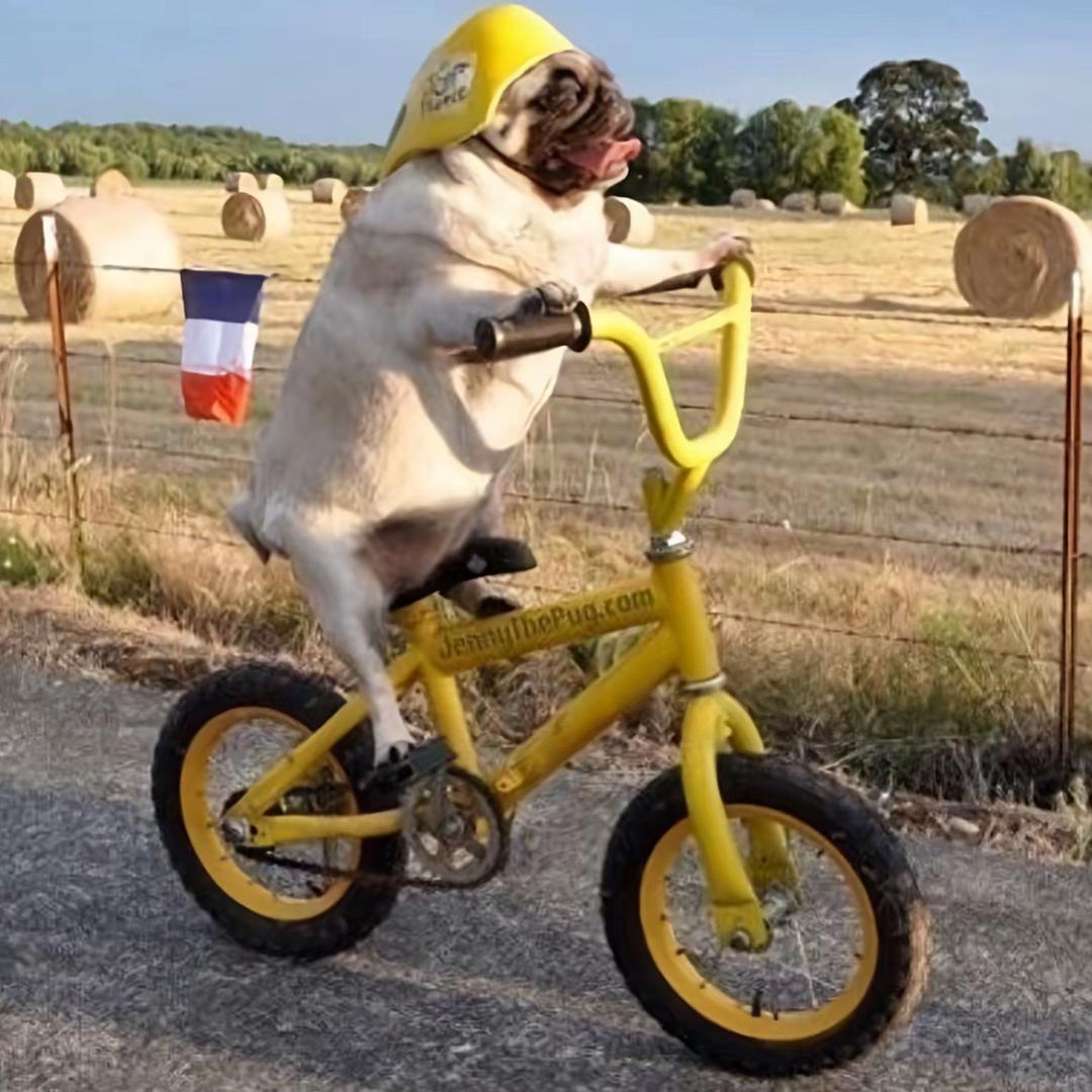 天下第二伤心男子