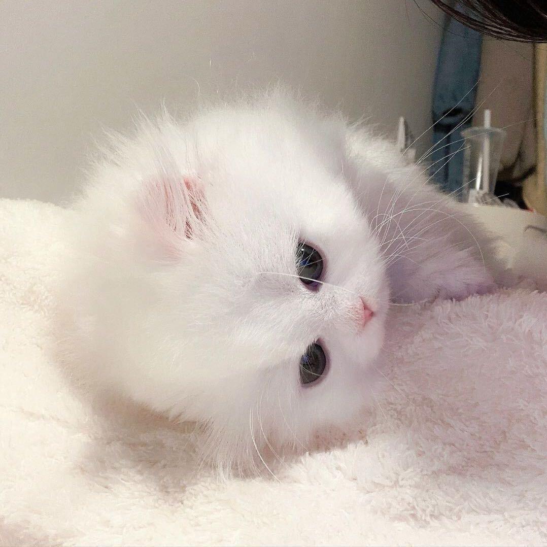 水日成