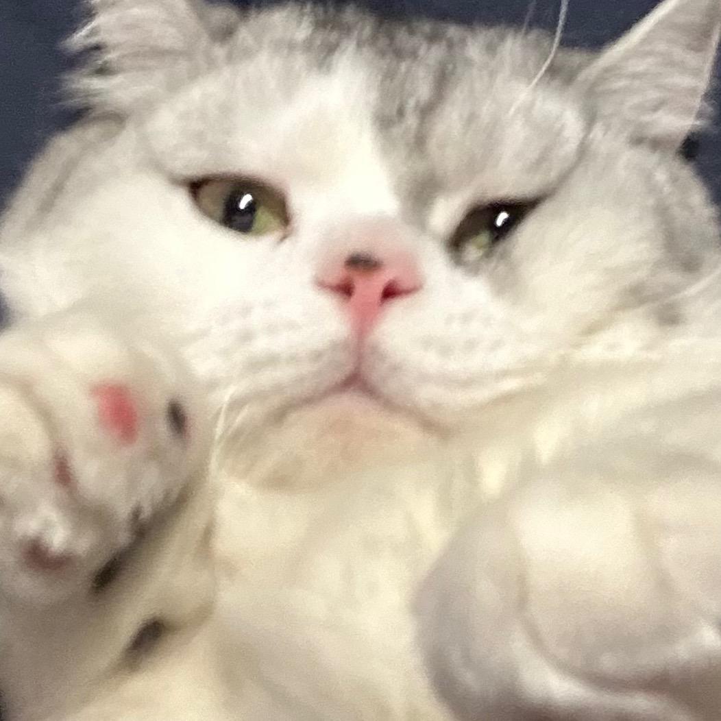 小野飞龙（被吴世勋回复版）