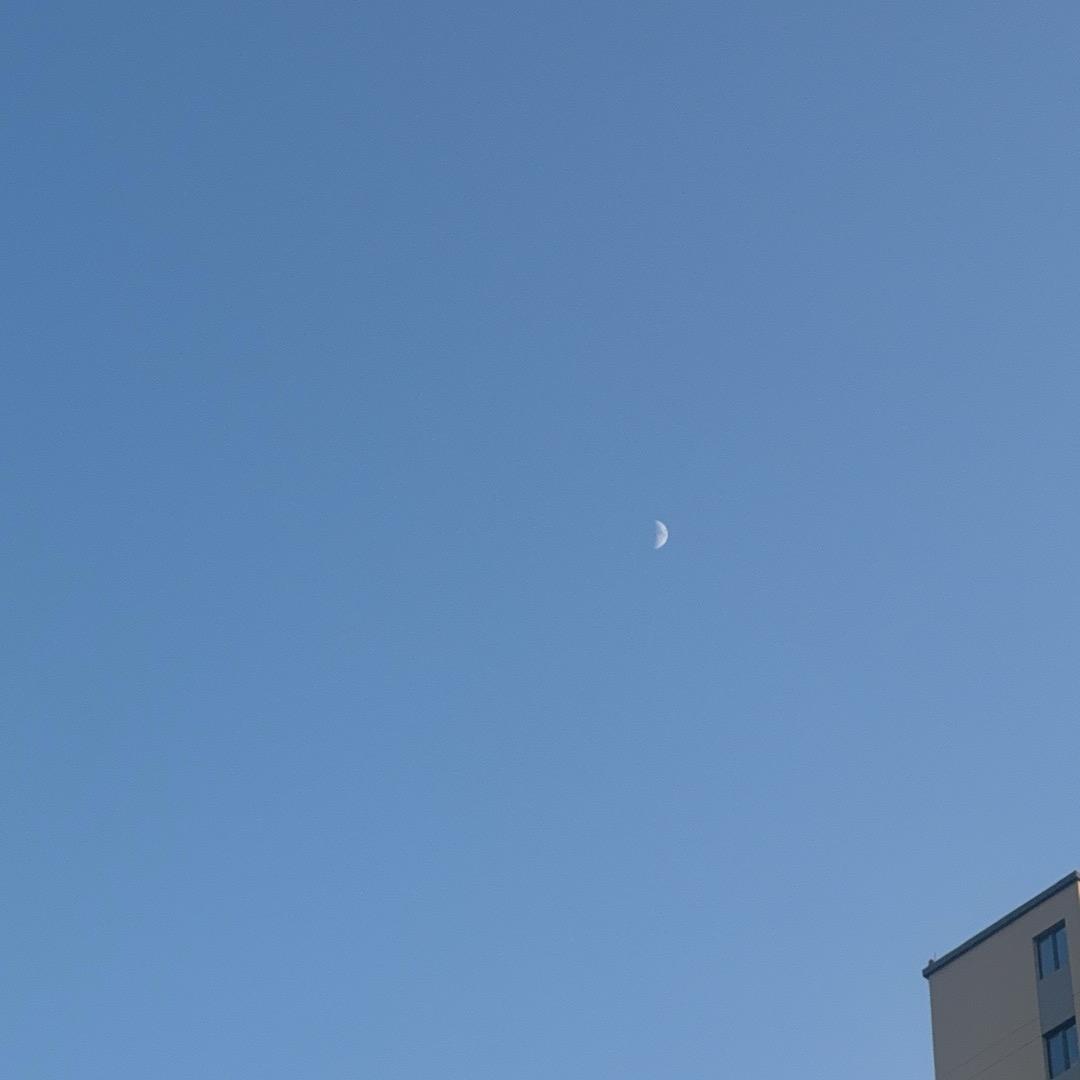 摩羯