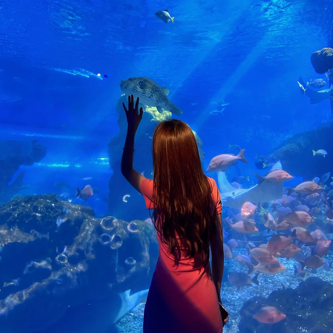 哈尔滨商K酒吧•美元儿