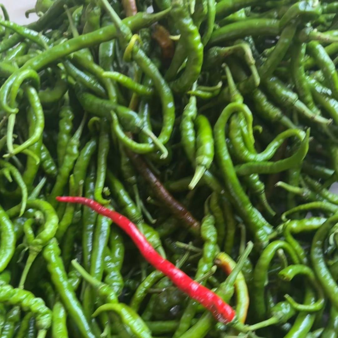 村口好物集