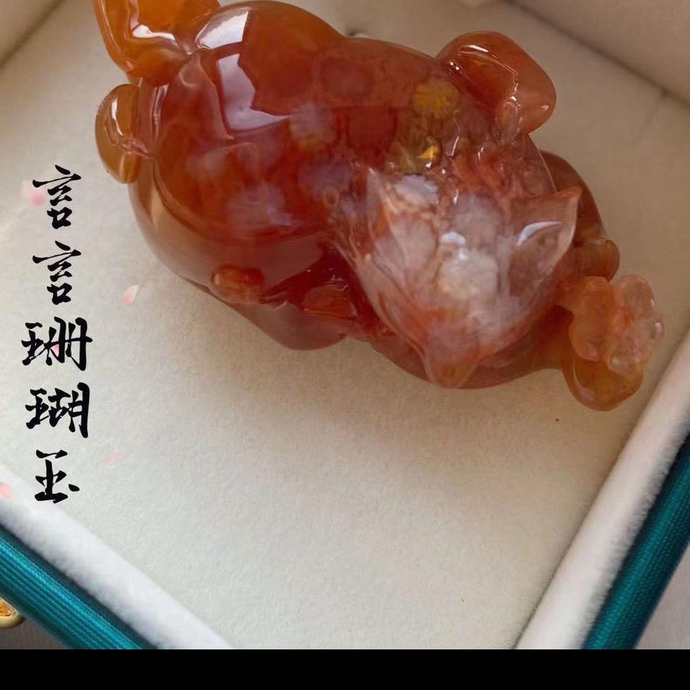言言精品珊瑚玉