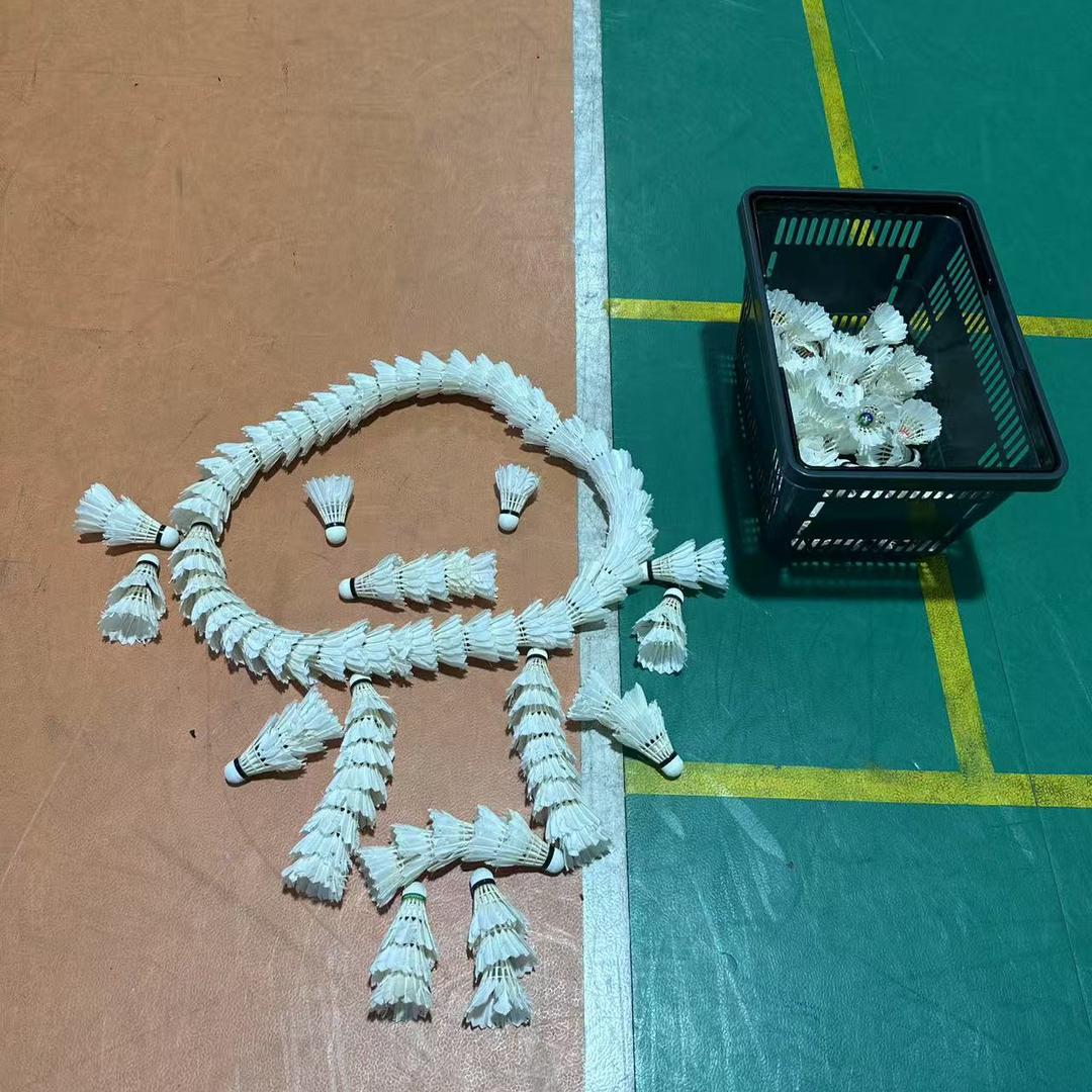 40岁的重启从羽毛球🏸开启🔛