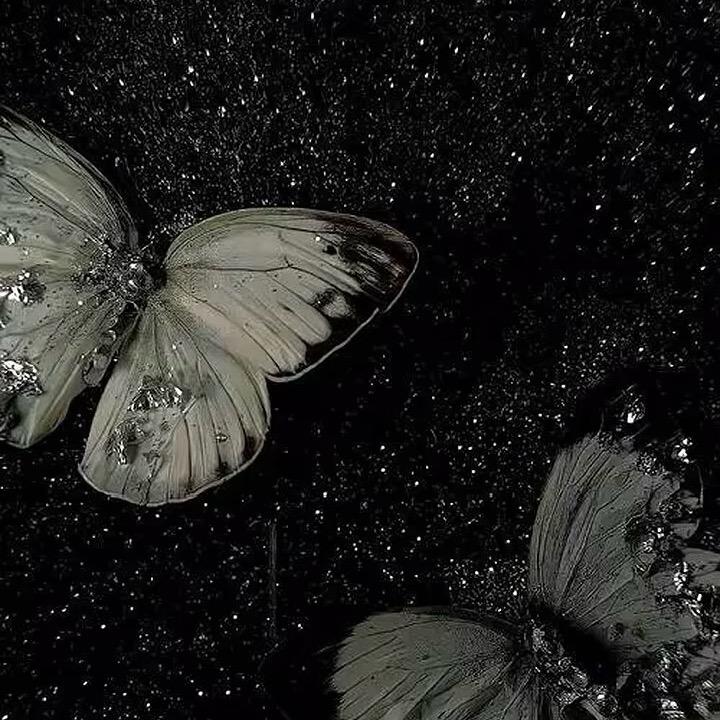 -許緣-
