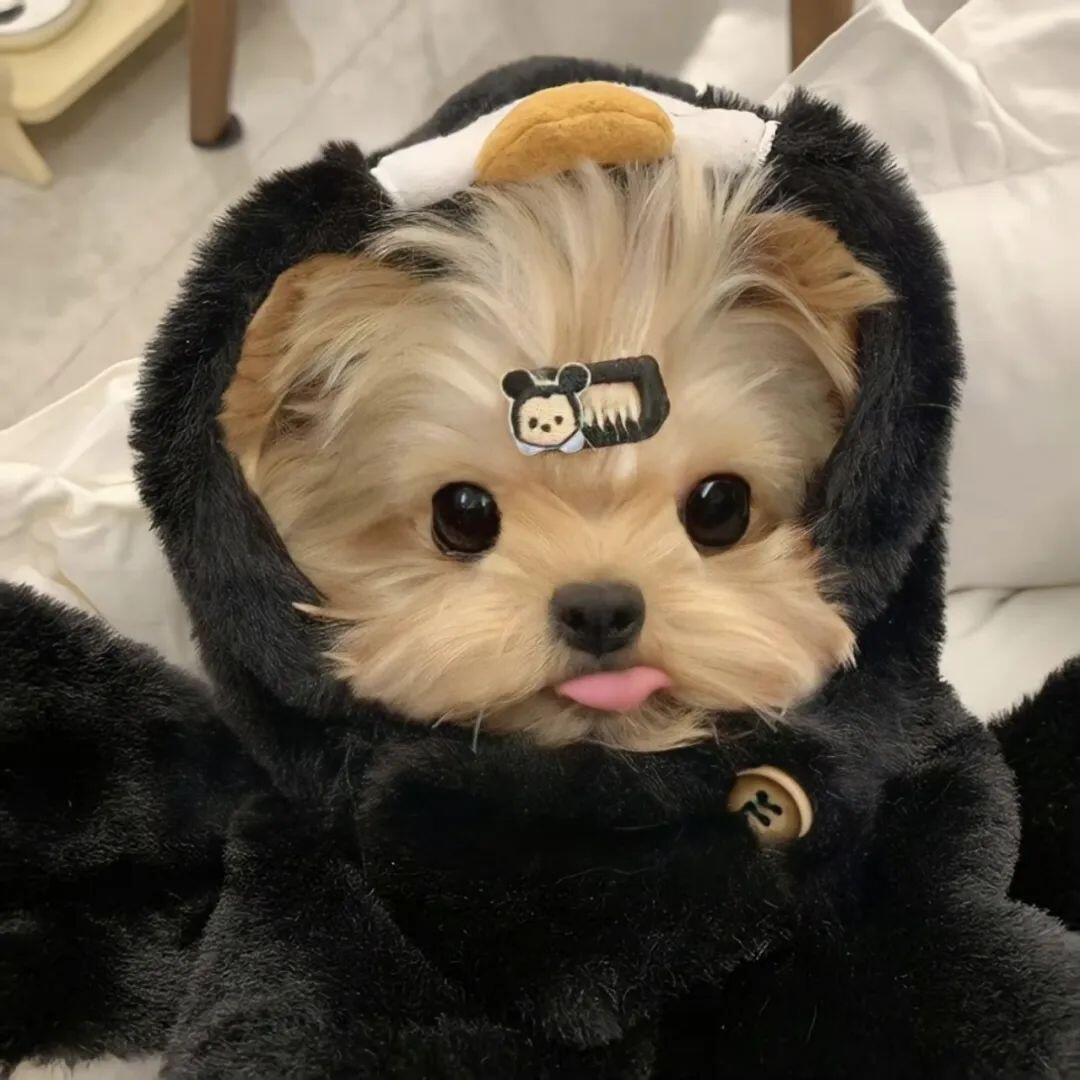 文伟优选