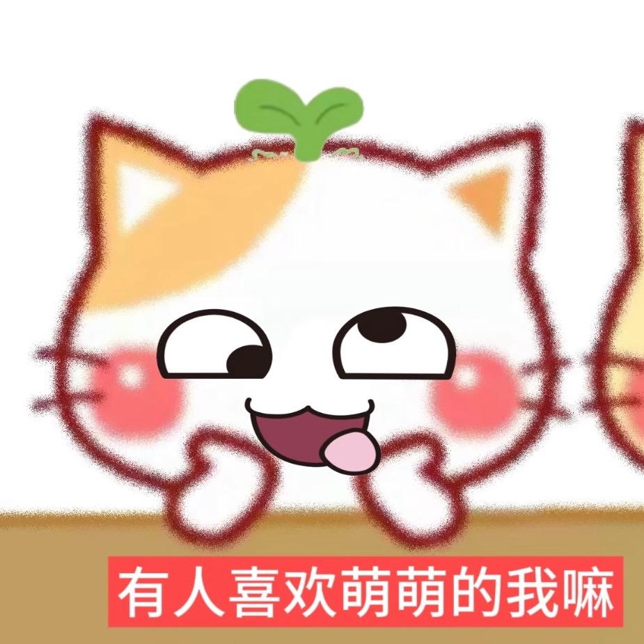 ㅤㅤㅤ绒绒萌卷