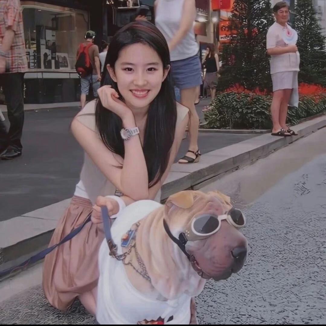 袁一鲤