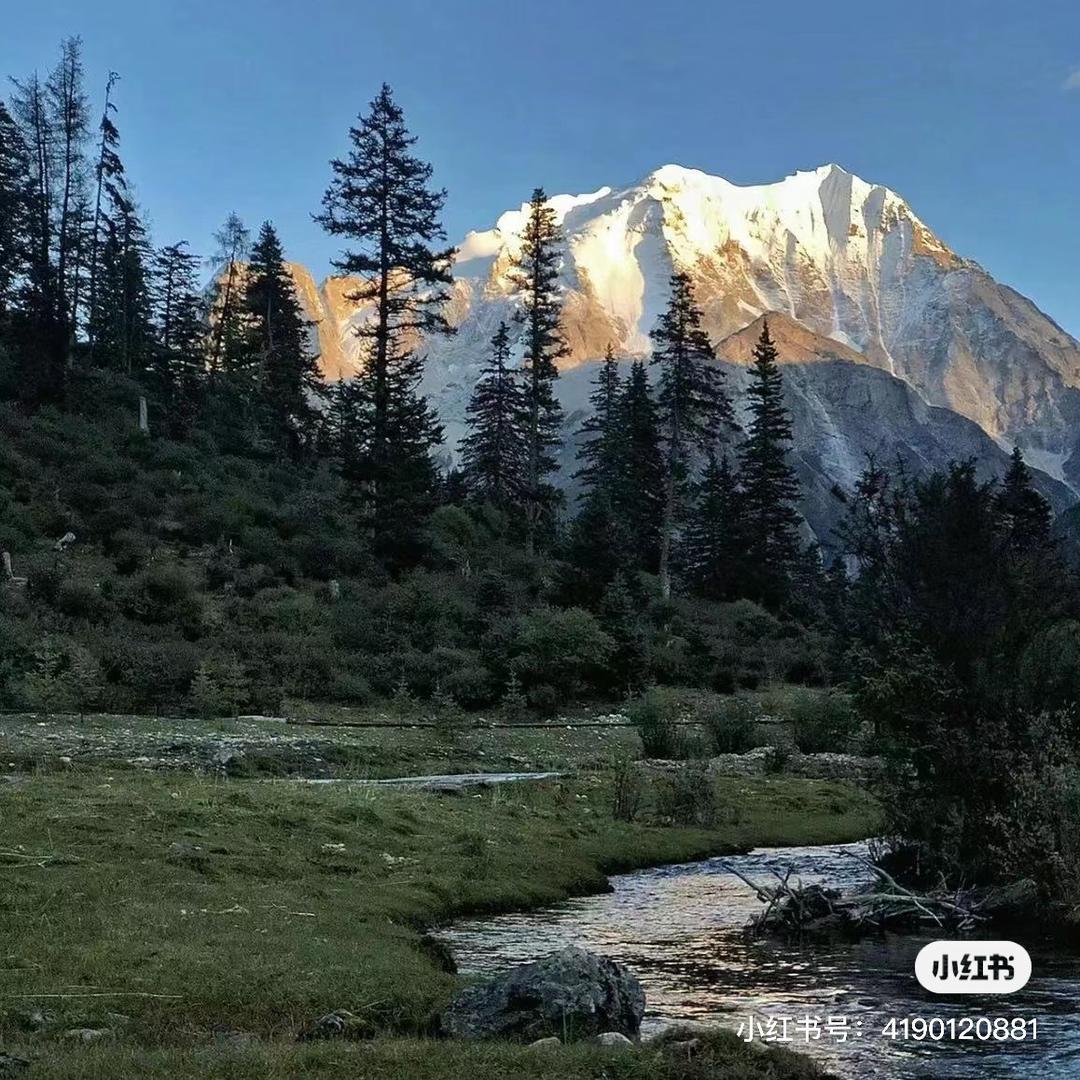 阿卡铁布达🏂