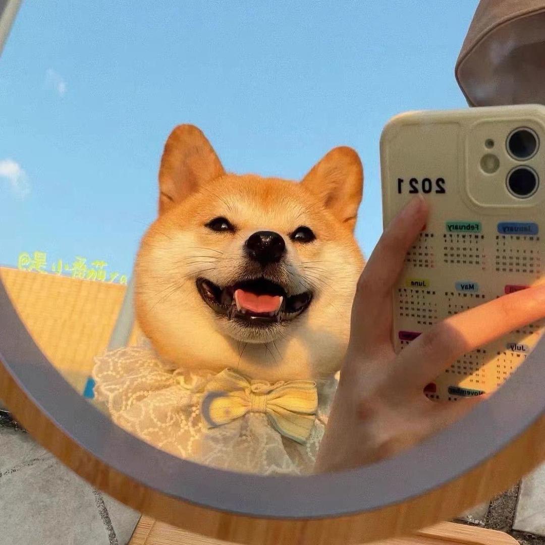 629666000