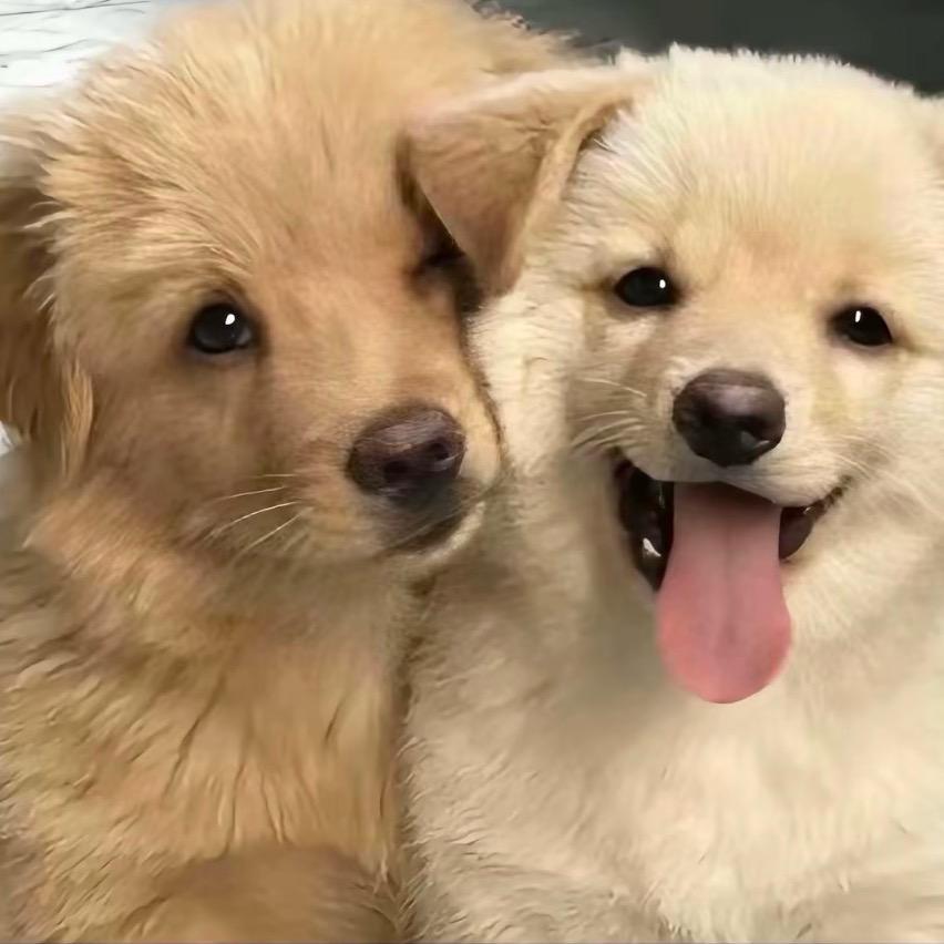 ˃̣̣̥᷄⌓˂̣̣̥᷅