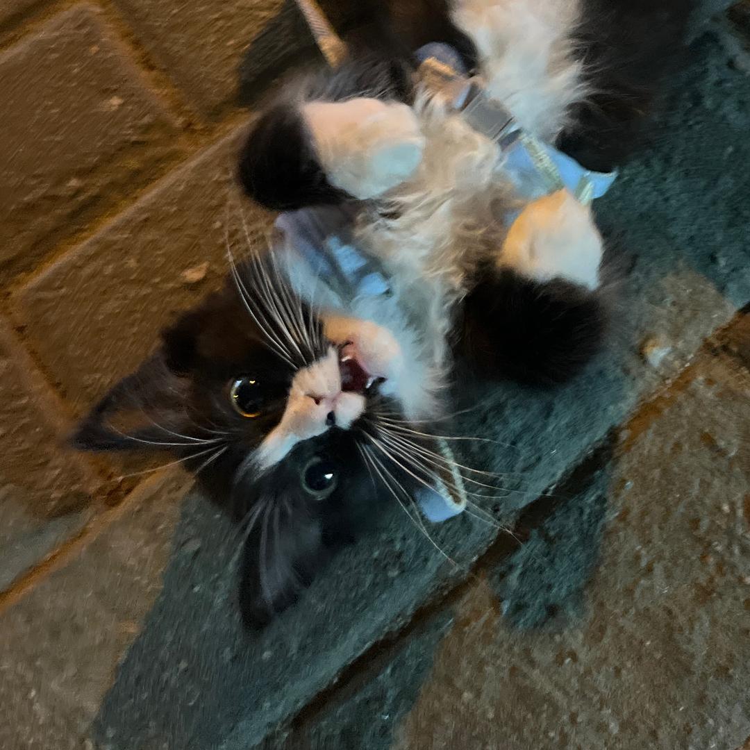 Puuuu.（涂专属