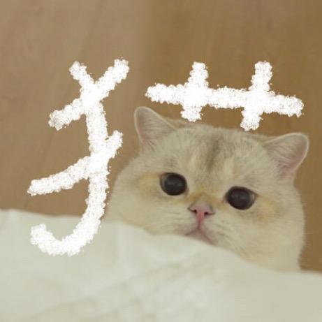 摆烂小能手