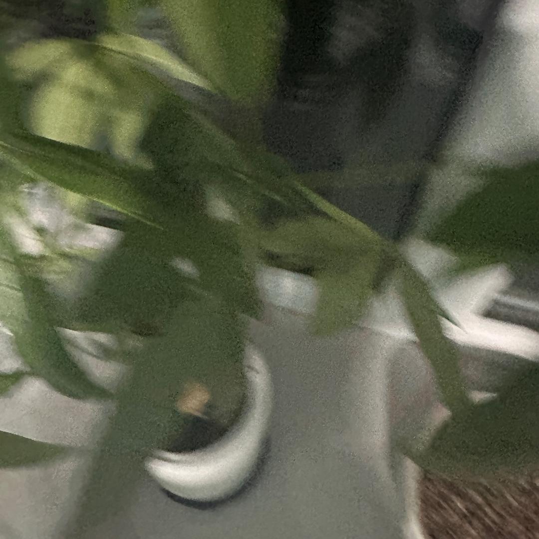 王姐
