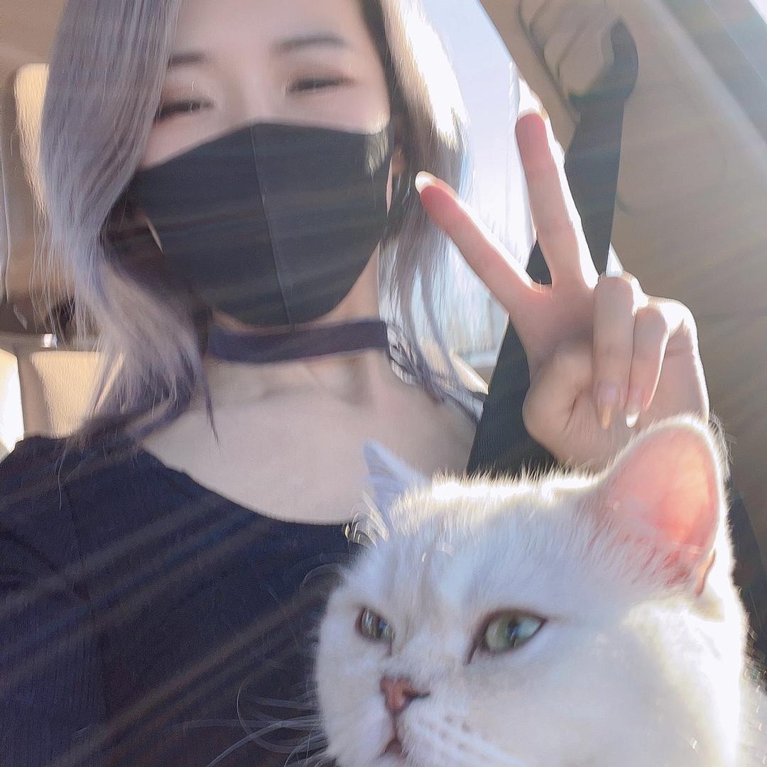 不吃米饭的猫