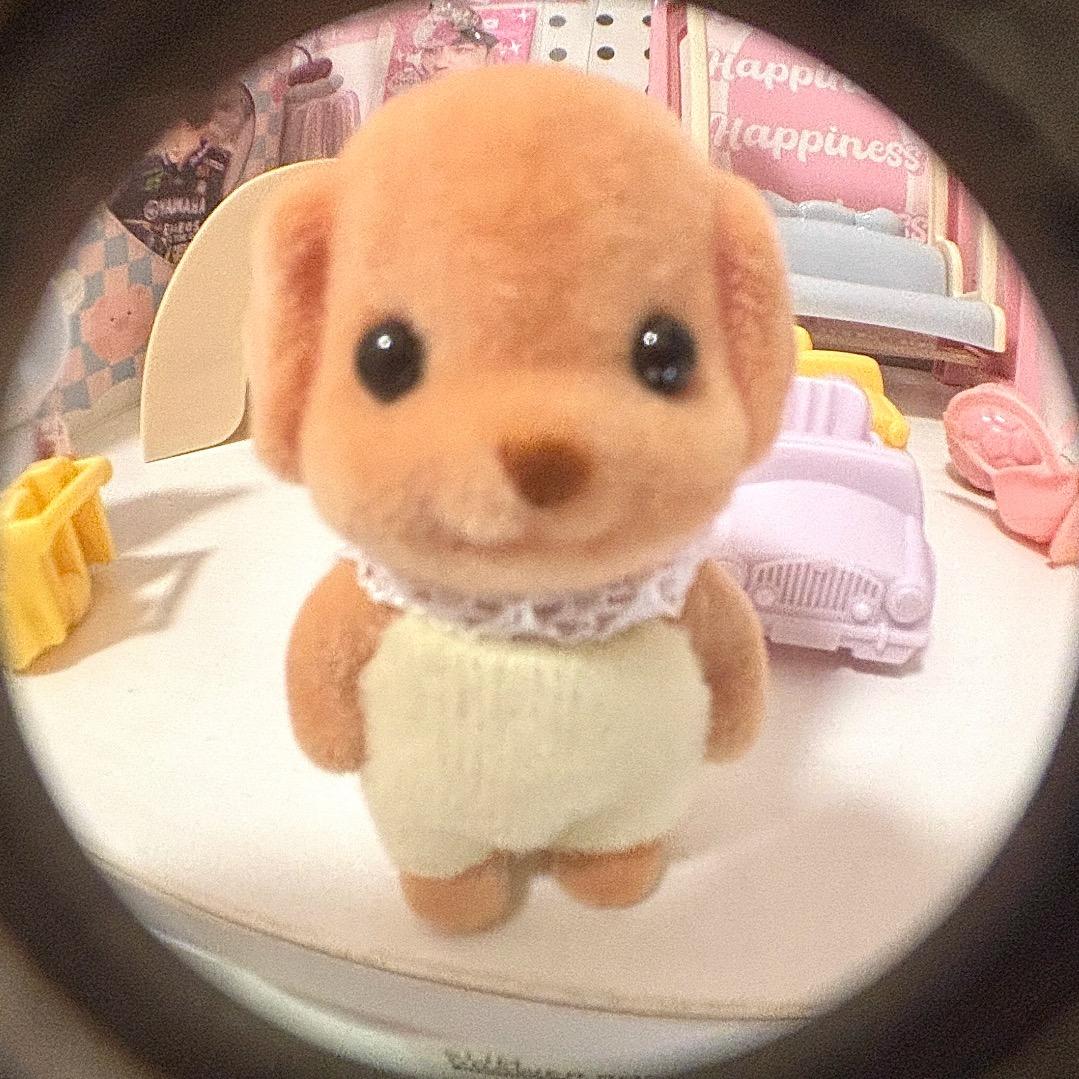 小姜饼干