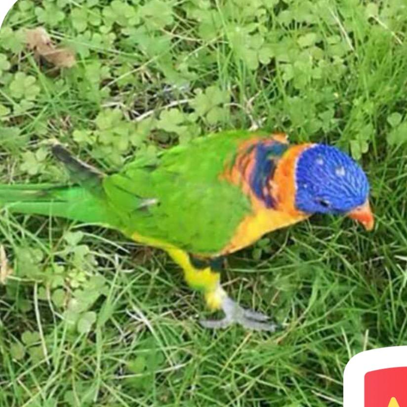 秀秀