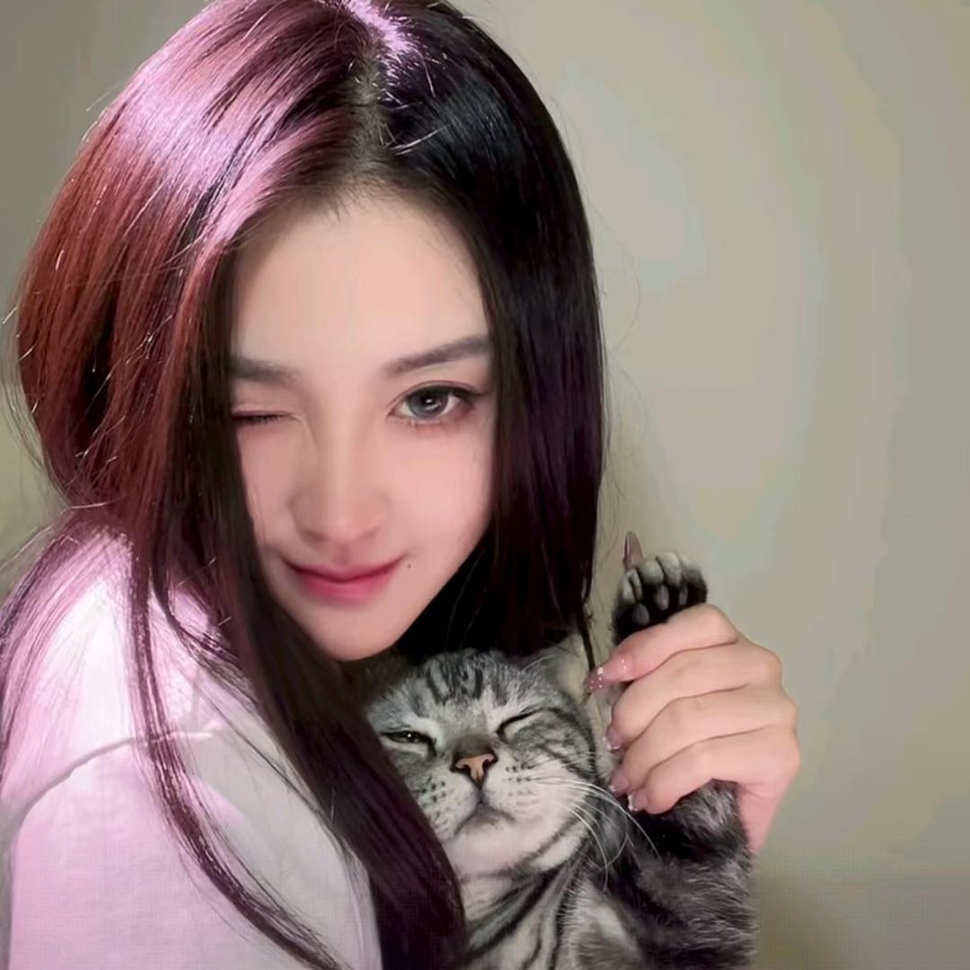 普通喵