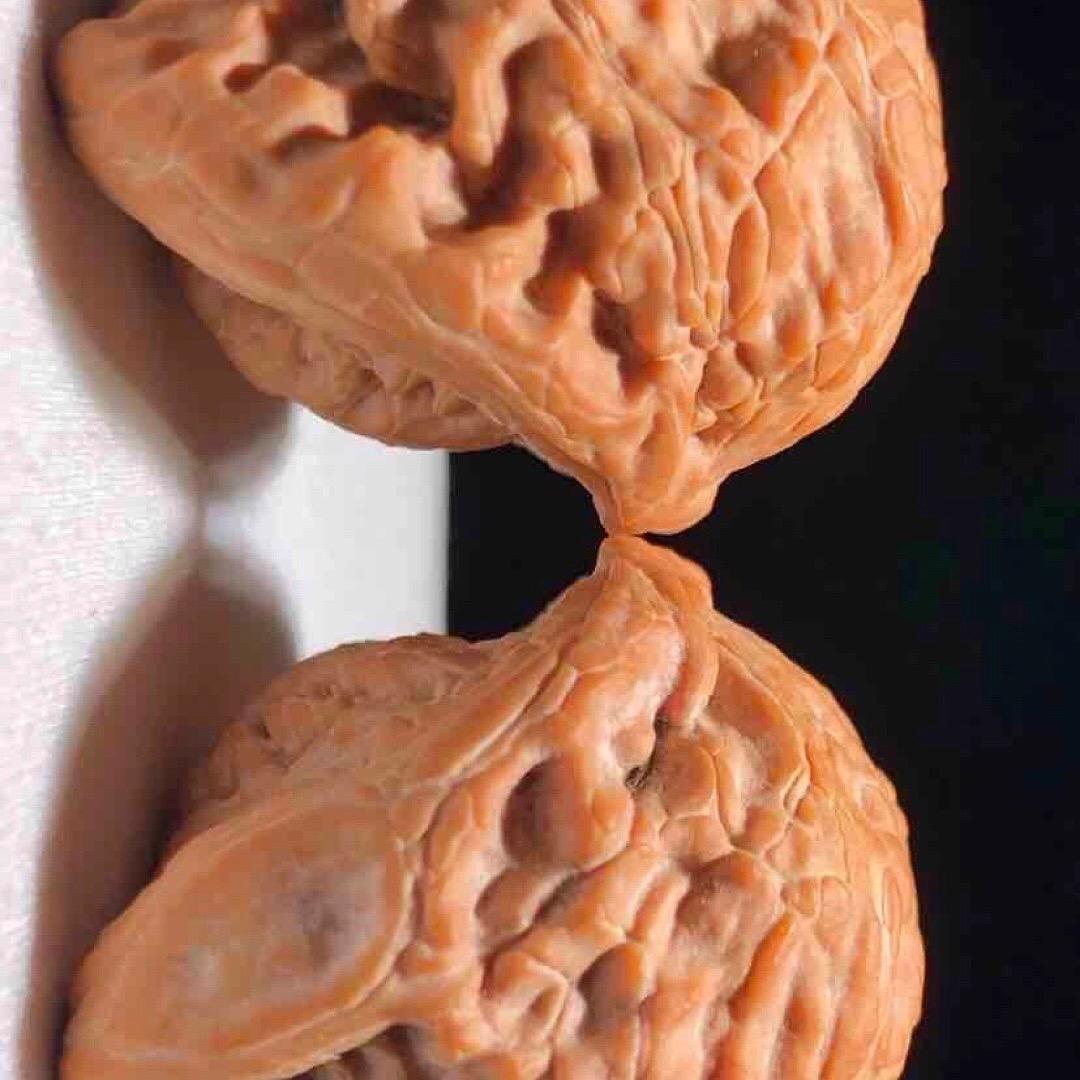 萌哥文玩