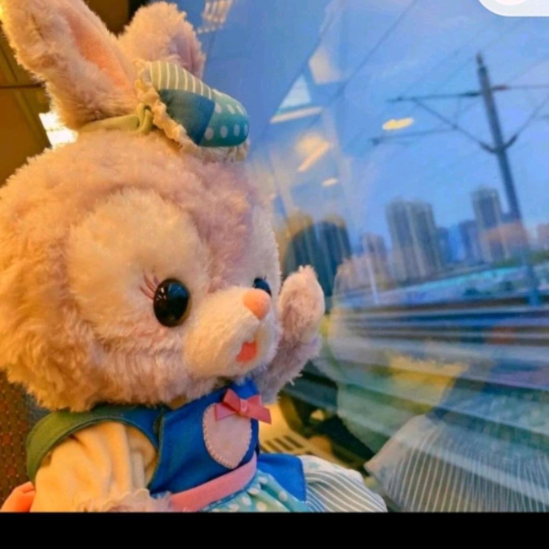 静、保护酒果公主的骑士