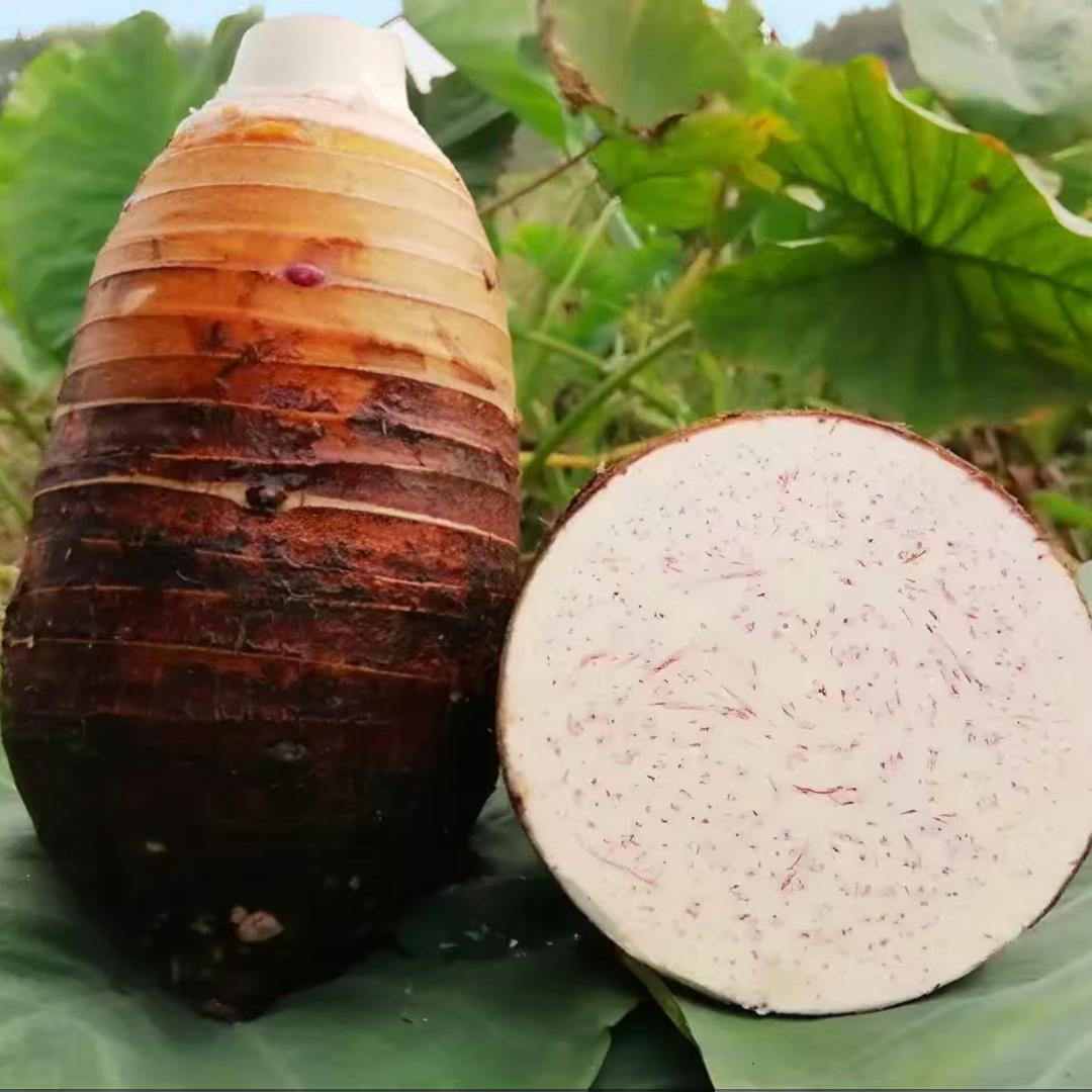 壮乡农品小卖部