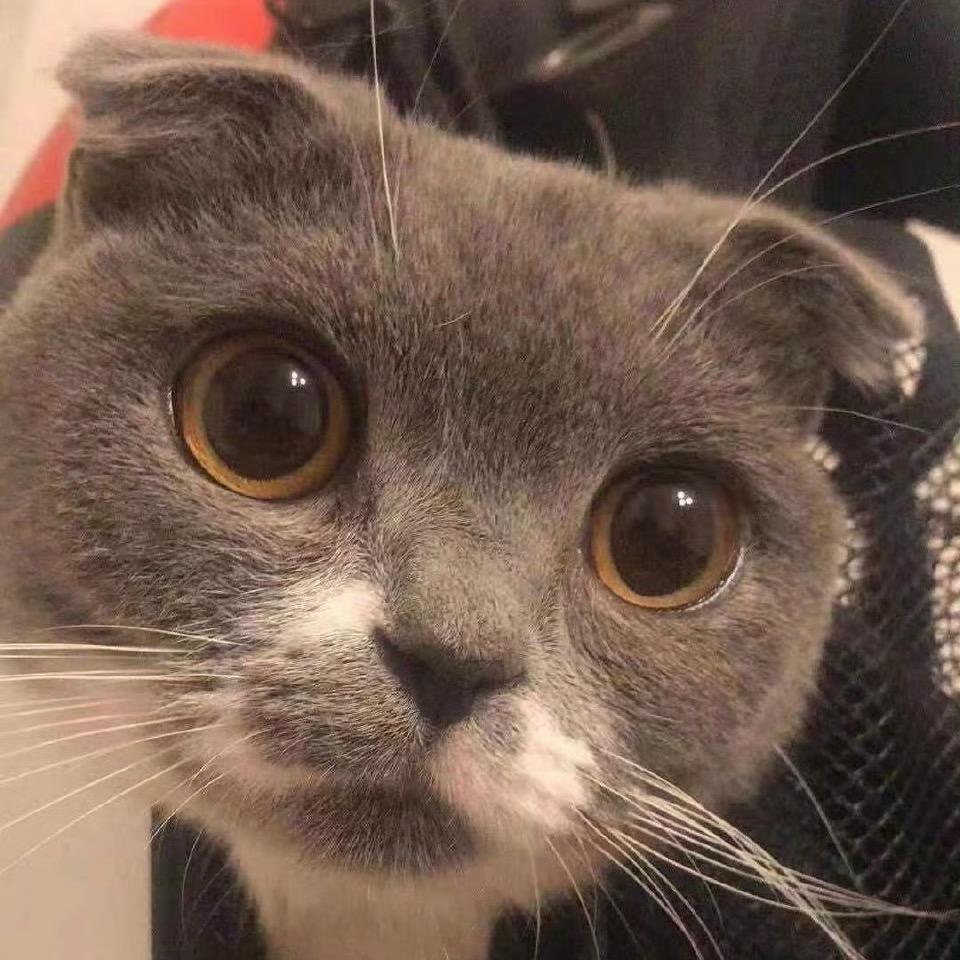 天地清風.