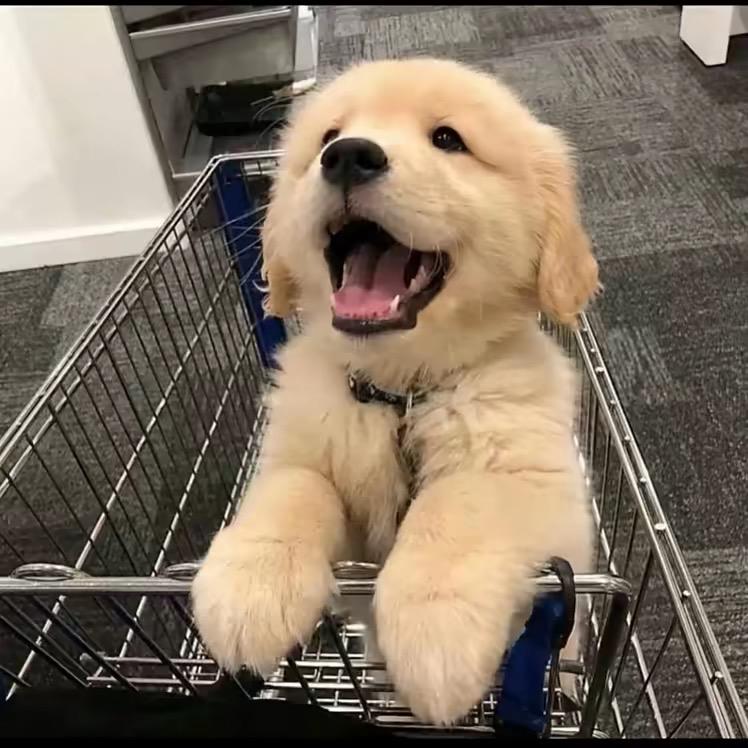 ￴￴ ￴ ￴ ￴