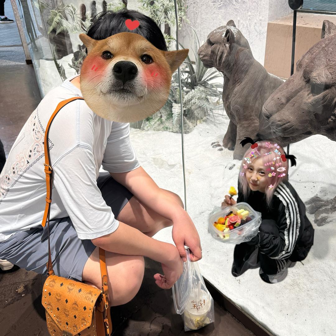 斑马还没有睡