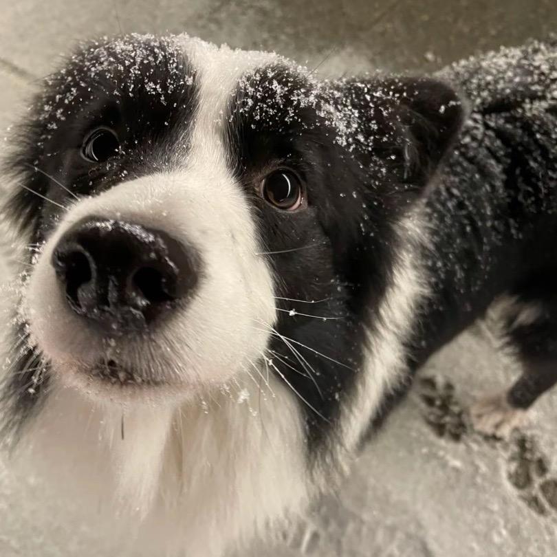 奶奶的裤兜没有米