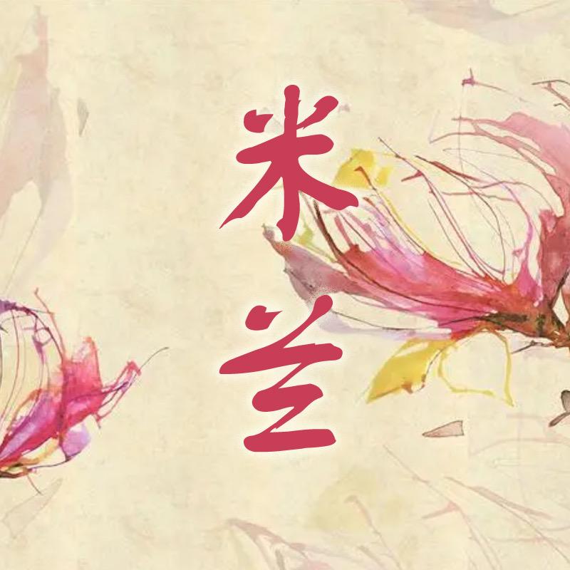 米兰家大码女装