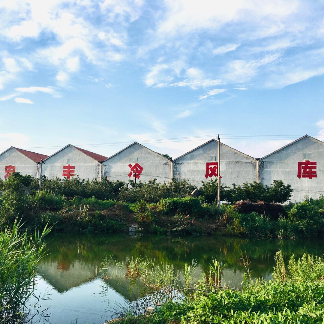 栖霞市宏丰果蔬有限公司