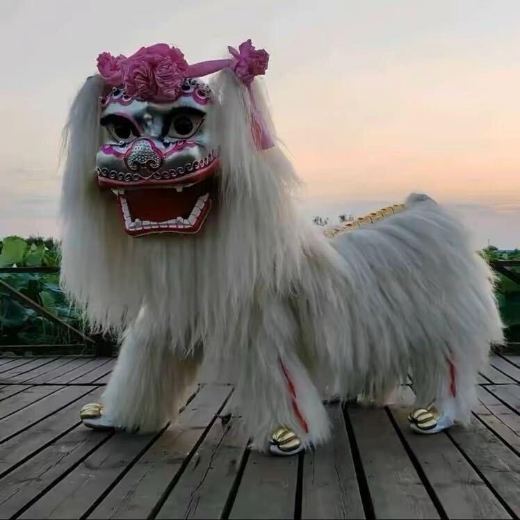 河南小特舞狮表演团