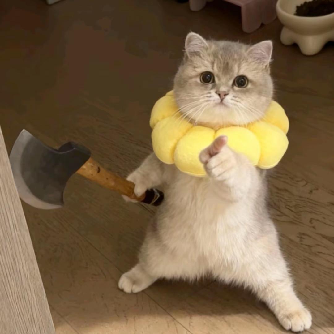 精品水果探险之批发航航