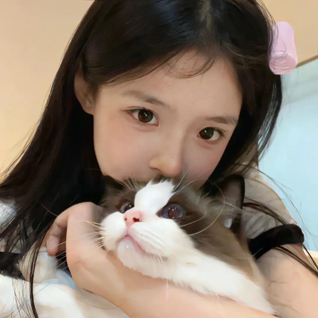 小趴菜O
