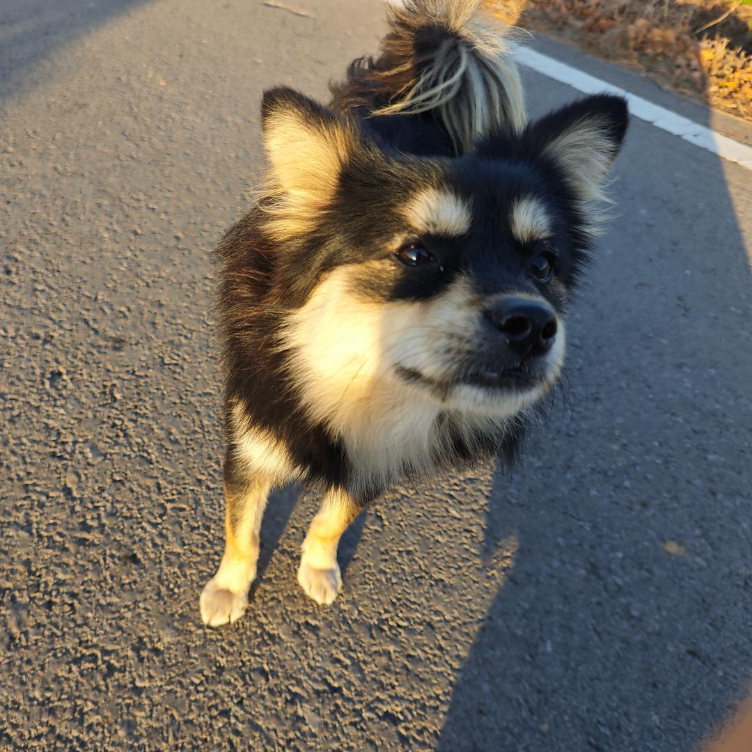 好想过躺平的生活