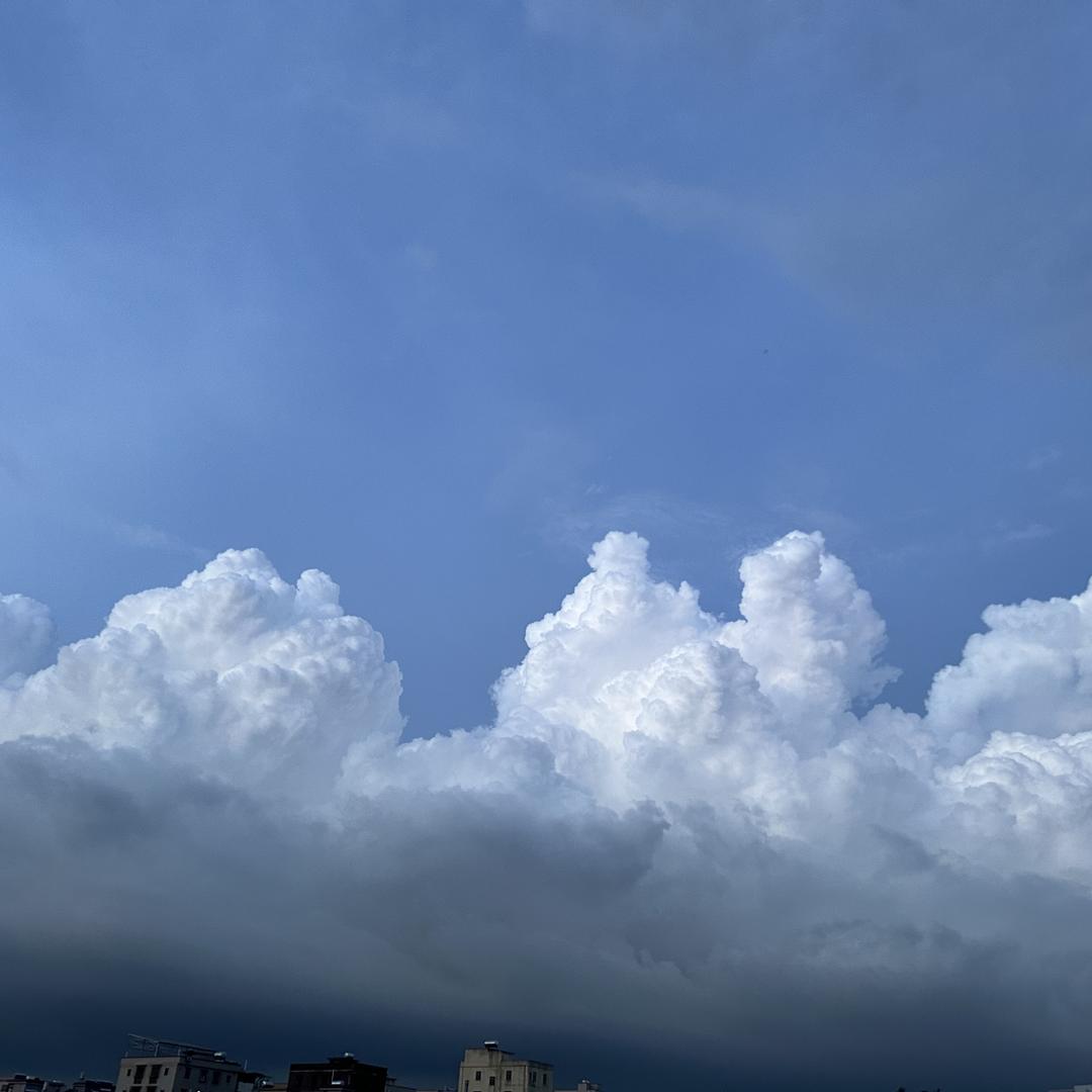 志远牧业