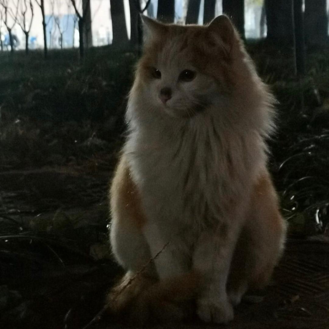 璟峰