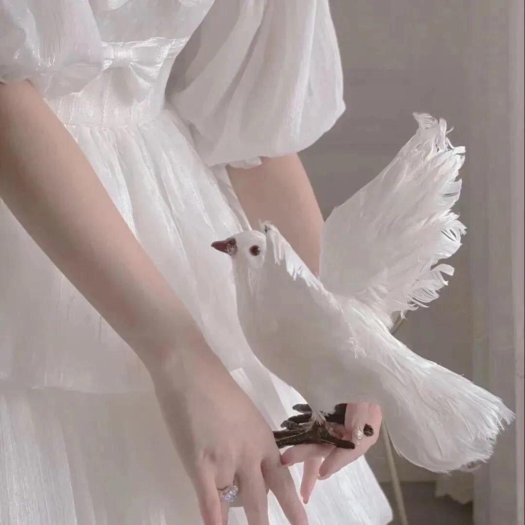 晚安🕊️