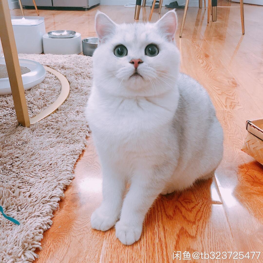 西瓜街拍