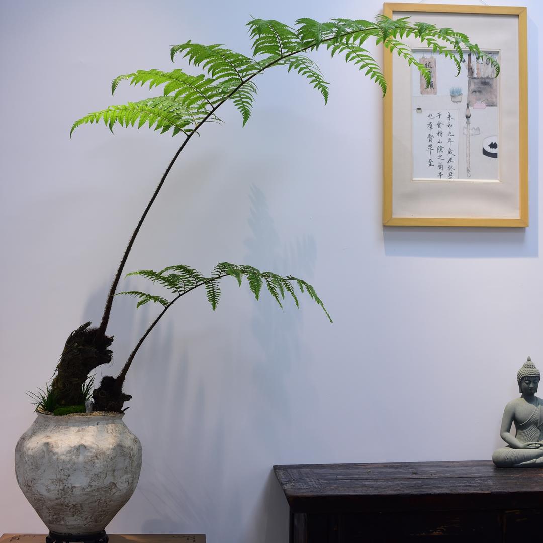 漳州有间花店供应链有限公司