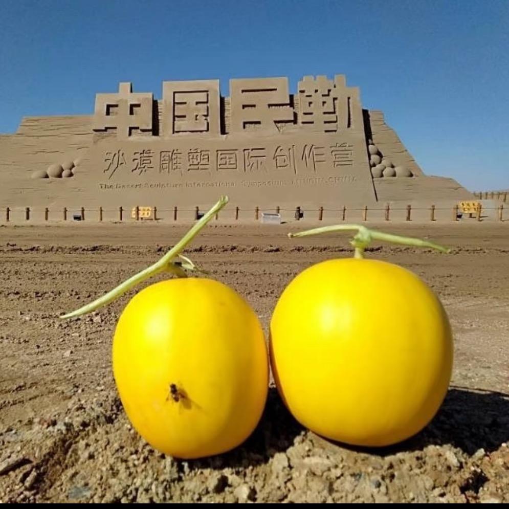 鲜果鲜甄选铺