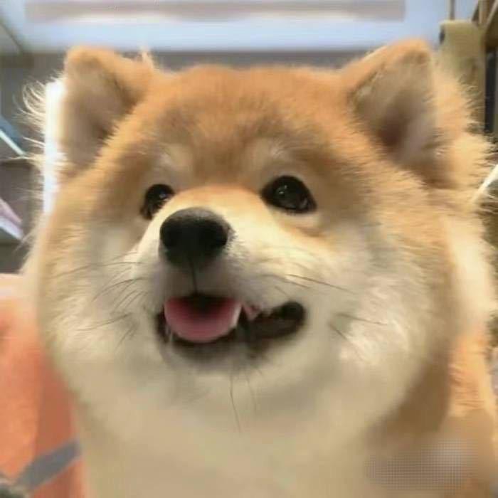满山的猴子我腚最红*