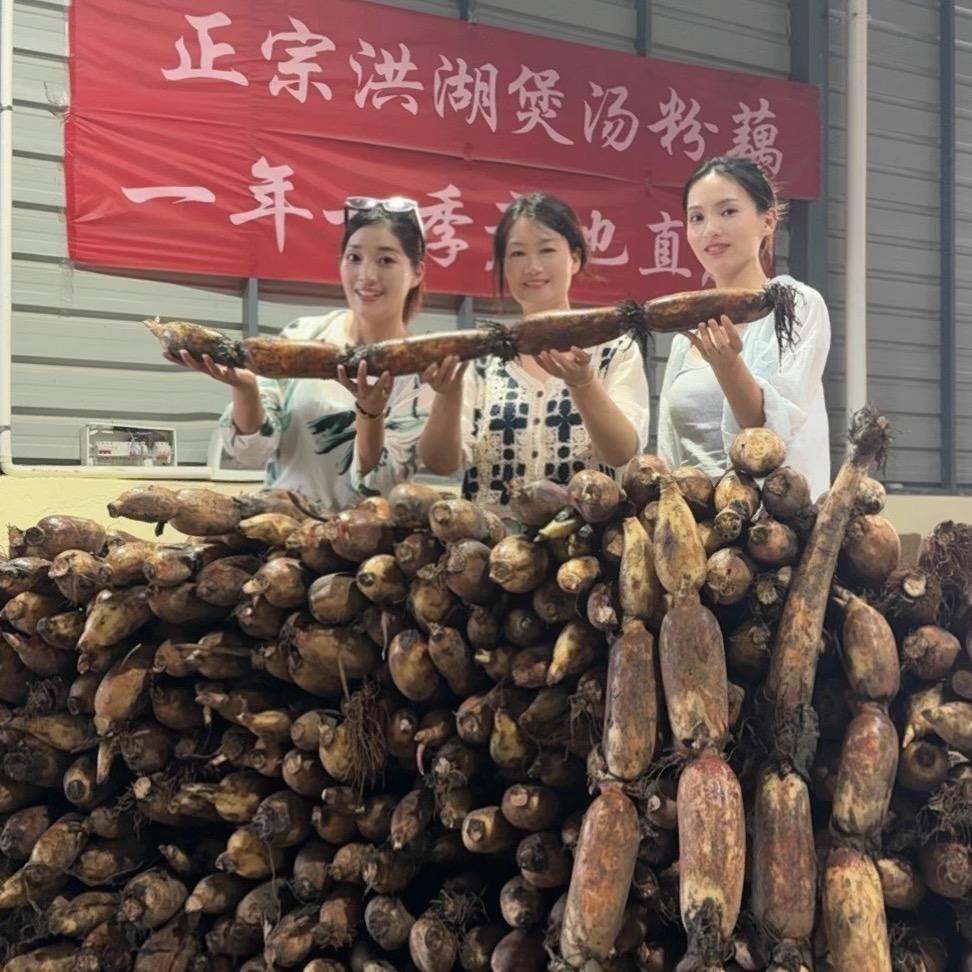 洪湖藕吧