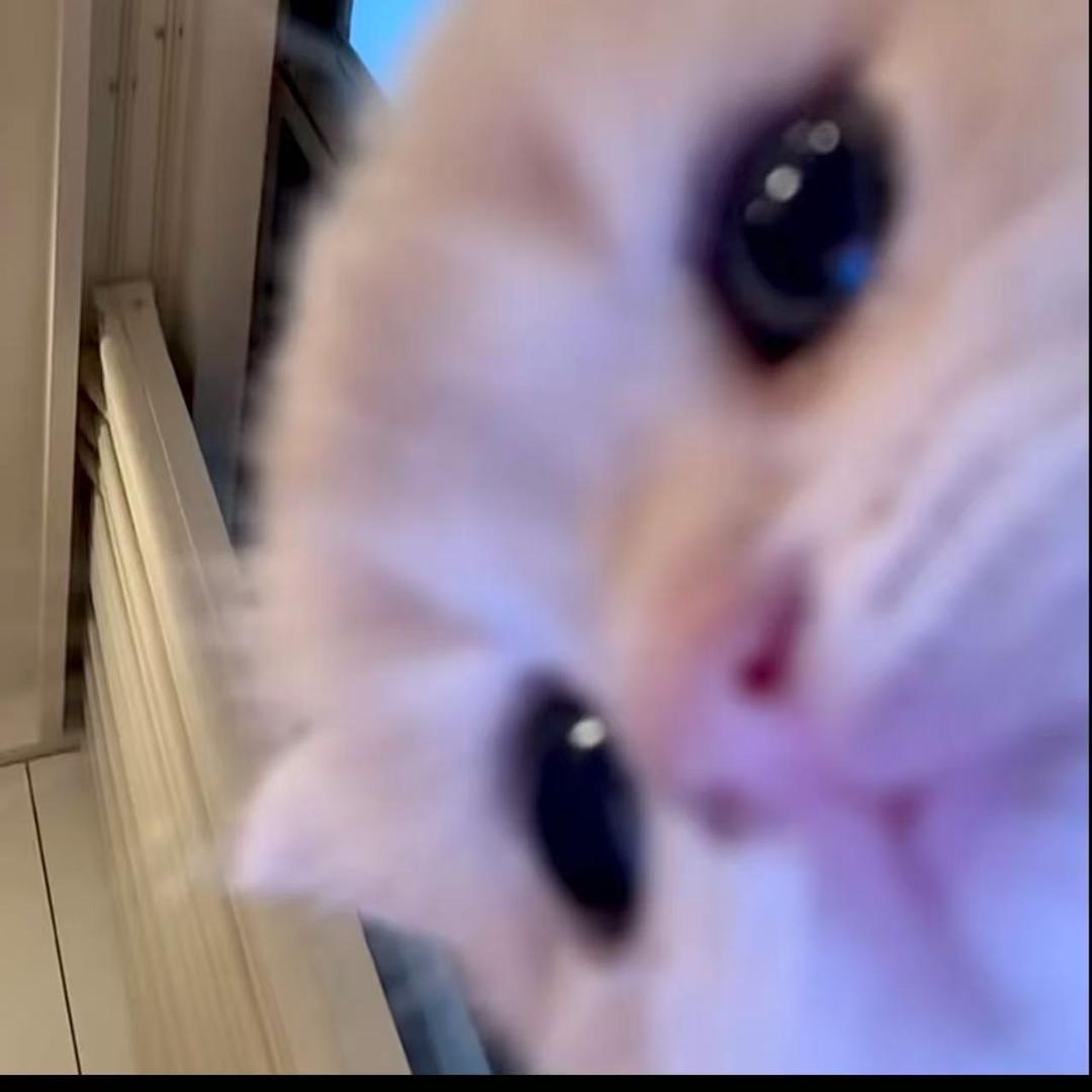 用心听