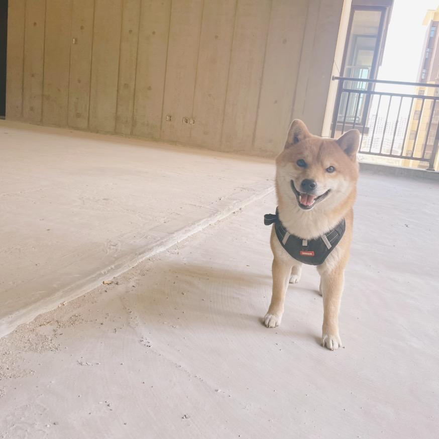 小七日记（奶油风大平层）