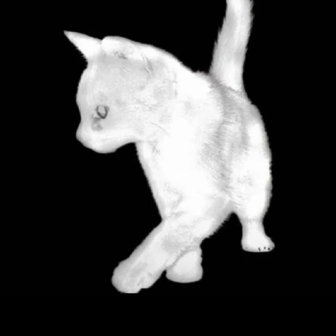 天分_Cr（辽宁第一石