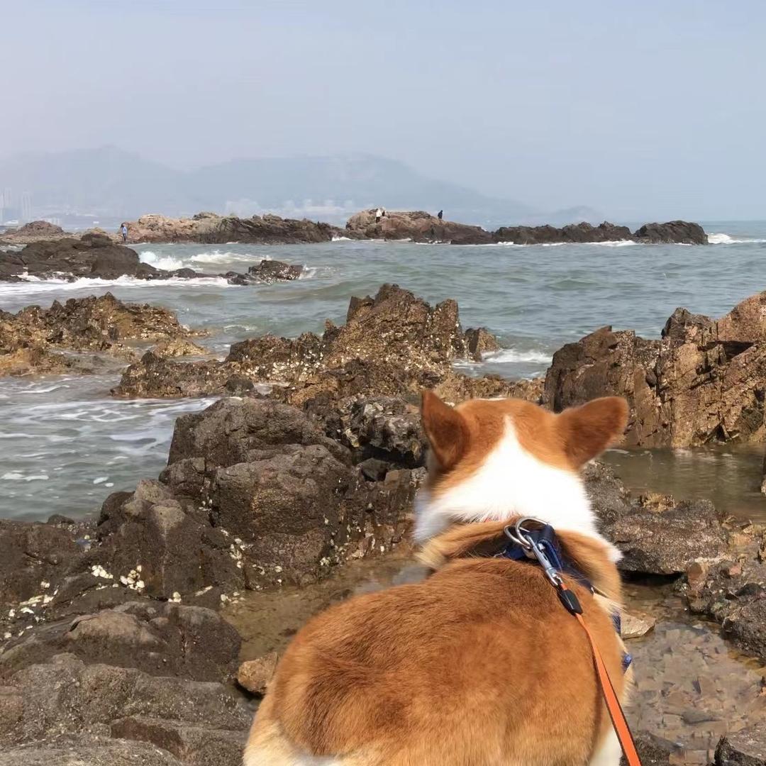 小圆油💕