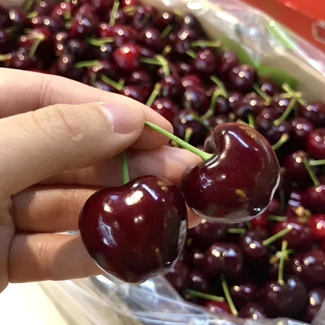 猫先生水果小店（只做精品水果）