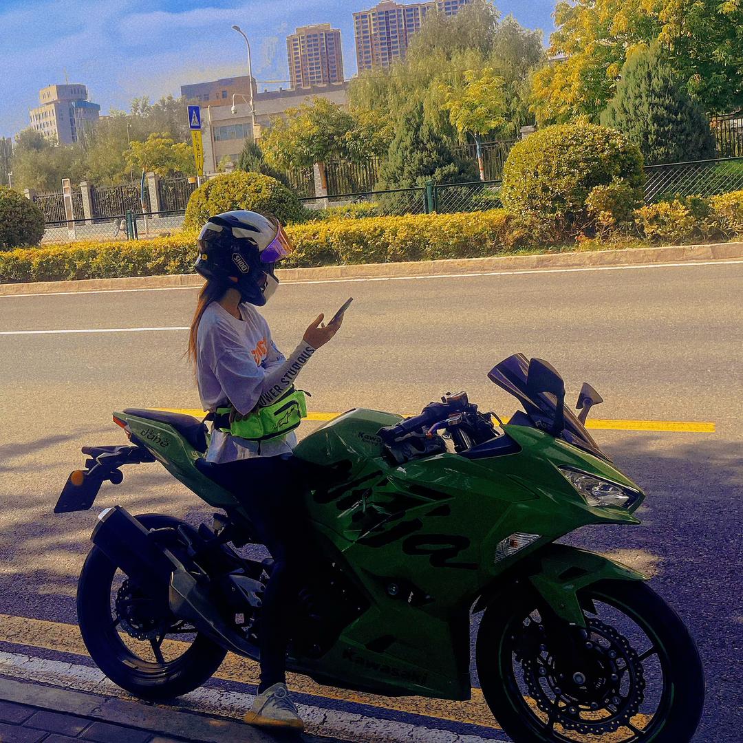 Gibson和他的弦儿